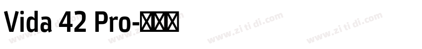 Vida 42 Pro字体转换